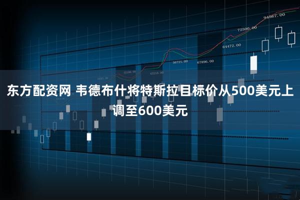 东方配资网 韦德布什将特斯拉目标价从500美元上调至600美元