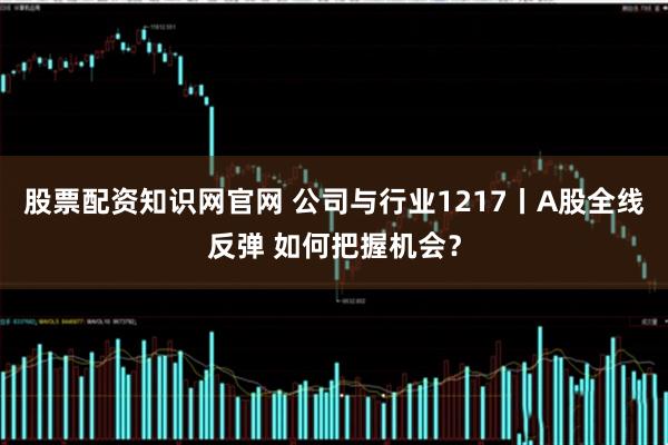 股票配资知识网官网 公司与行业1217丨A股全线反弹 如何把握机会？