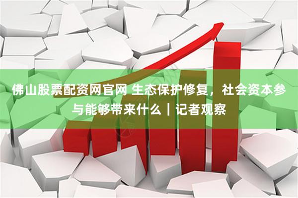 佛山股票配资网官网 生态保护修复，社会资本参与能够带来什么｜记者观察