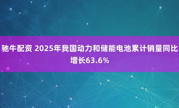 驰牛配资 2025年我国动力和储能电池累计销量同比增长63.6%