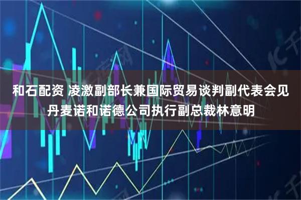 和石配资 凌激副部长兼国际贸易谈判副代表会见丹麦诺和诺德公司执行副总裁林意明